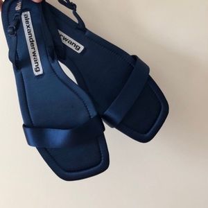 Alexander wang sandals
